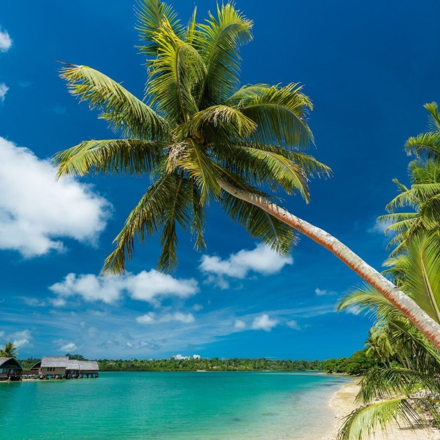How Much Does It Cost To Acquire Vanuatu Citizenship?